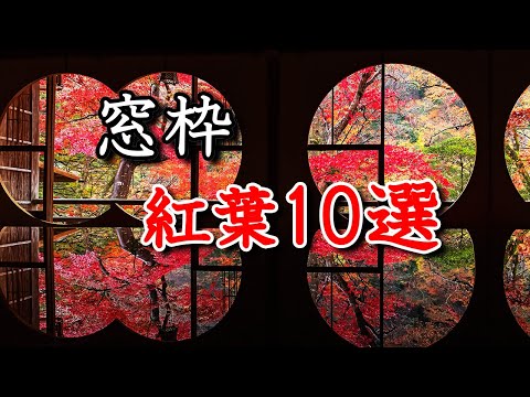 【京都 窓枠紅葉🍁10選】額縁・窓枠紅葉の名所　瑠璃光院、祐斎亭、源光庵、圓光寺、宝泉院、正寿院、詩仙堂など額縁、窓枠の紅葉絶景の名所を紹介します