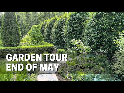 Early May Garden Tour - I'd Love Your Suggestion on How To Fix This Problem