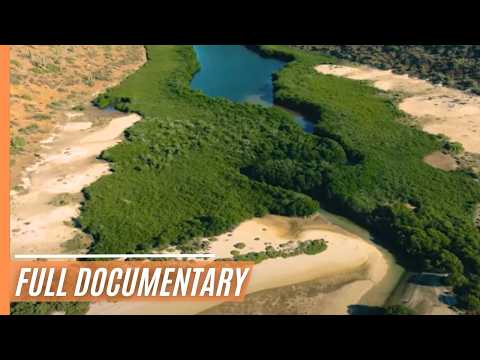 Aquarium Of The World - Diversity at the Pacific Estuary | Full Documentary