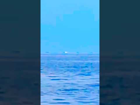 LEBANON |  Spotted numerous warships heading to South