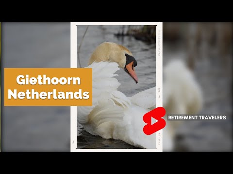 Retirement Travelers: GIETHOORN NETHERLANDS WILD SWAN  | #shorts