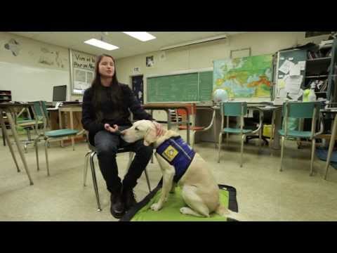 Victim Services - "Trauma K9"