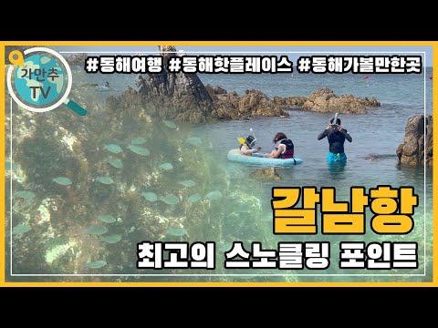 스노클링하기에 딱 좋은 곳! 갈남항! 장호항보다 더 좋아요!