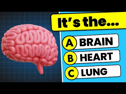 🧠 50 General Knowledge Questions 📚✅ Are You Smarter Than a 5th Grader? 🤓