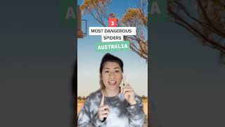 3 Most Dangerous Spiders in Australia #Shorts