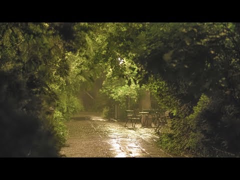 🎧 Soothing and Relaxing Rain in the Old Park at Night - 10 Hours for Relaxation, Sleep & Study - 4K