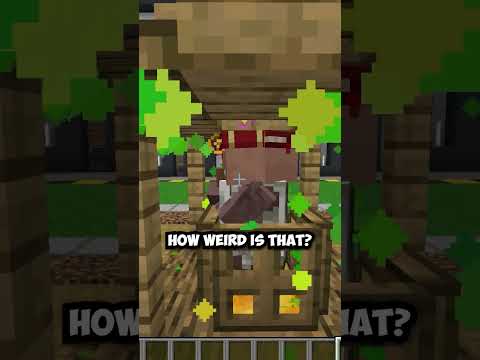 the WEIRDEST glitches still in minecraft