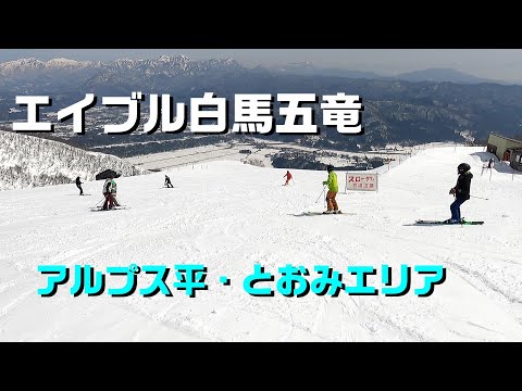 【白馬】エイブル白馬五竜　アルプス平・とおみエリア上部から下部のエスカルプラザ前まで。