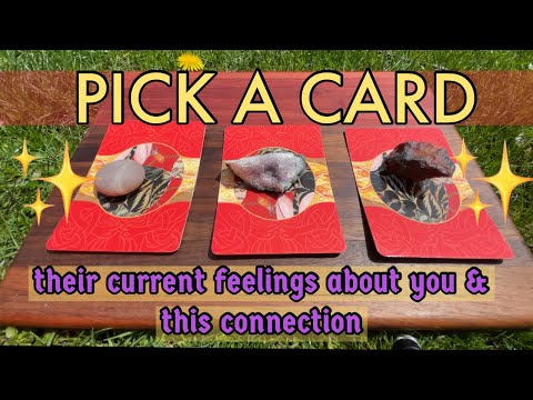 THEIR CURRENT FEELINGS ABOUT YOU + UR CONNECTION 🔮 pick a card psychic tarot reading