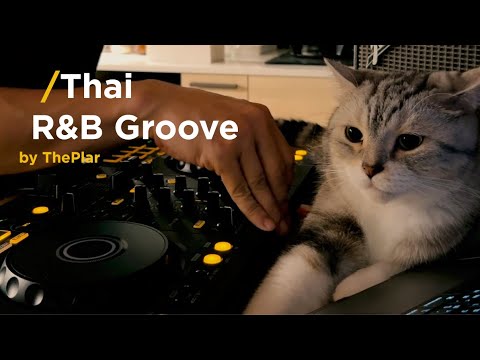 THAI R&B Groove - DJ Mix SET / Groove Riders / Cyndi seui  / HYBS / Others...[Cat included]