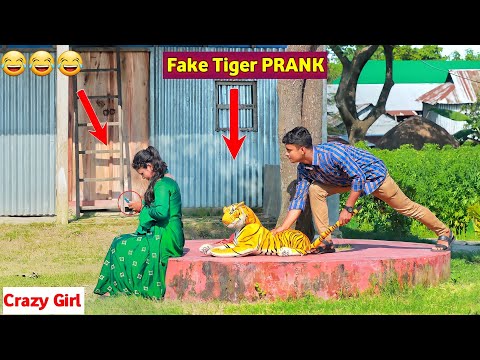 Viral Fake Tiger Prank on 😂 Cute Girl | Fake Tiger vs Man Prank Video | So Funny Videos | ComicaL TV