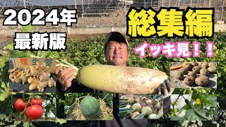 農業って最高に楽しい！（１月から７月に育てる野菜）農業と家庭菜園（２０２４年最新版）【前編】