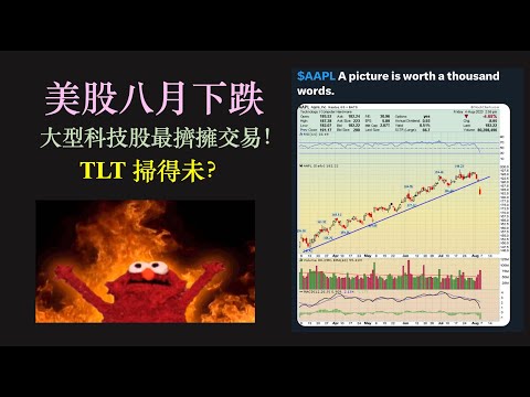 美股八月中期調整｜解拆 Greed and Fear Index ｜大型科技股最擠擁交易｜TLT 三個標準差異動走勢｜撈得未？ [cc中文字幕]