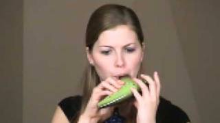 Saria's Song - Legend of Zelda Ocarina of Time - on STL Ocarina - Use Code "YT10" and Get 10% Off