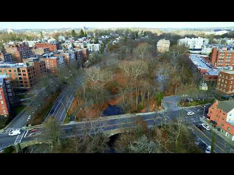 Bronx river parkway drone shot - 12.31.24