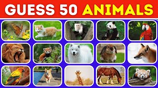 Can You Guess the 50 Animals? The Ultimate Wildlife Challenge!