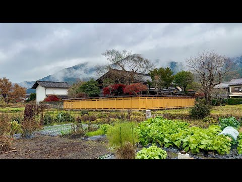 4K Beautiful Japanese Countryside Scenery | Walking Tour Nakatsugawa, Gifu, Japan [ 4K HDR 60fps ]