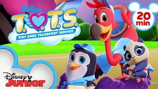 Best of Season 3  💖| 20 Minute Compilation | T.O.T.S. | @disneyjr