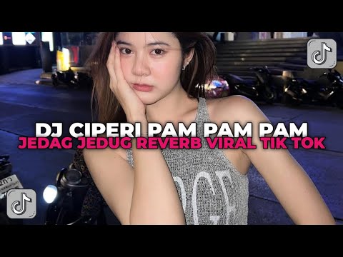 DJ CIPERI PAM PAM PAM CIPERI PAM PAM PAM | DJ TE PEGO E PA JEDAG JEDUG REVERB YANG KALIAN CARI CARI!