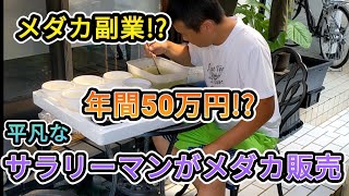 メダカ副業!?5万円売り上げるサラリーマン