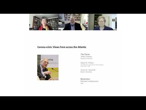 Online panel discussion: Corona-crisis - Views from across the Atlantic