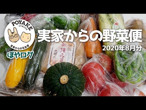 【ぽやログ】実家からの宅急便 - 2020年8月分【ぽや家｜067】いつもありがとう♥