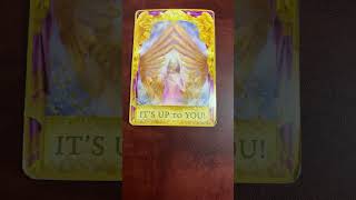 #430 Cancer - Angel Answers Oracle Message