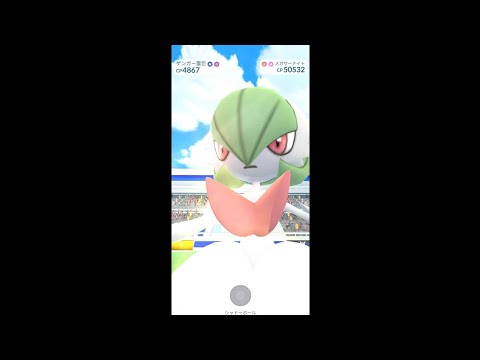 メガサーナイト討伐　レイドバトル　ポケモンGO