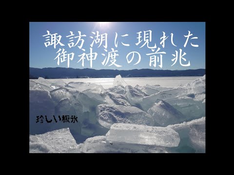 「自然のパワー」御神渡り目前の諏訪湖に現れた板氷山　2022年令和４年