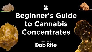 Beginner's Guide to Cannabis Concentrates | Presented by DabRite