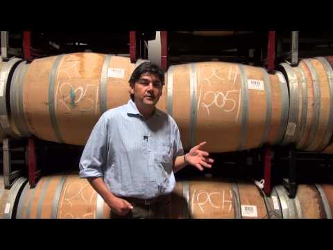 Gustavo discusses barrel aging and malolactic fermentation