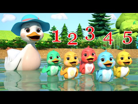 Five Little Ducks Song 🦆 Baby Counts Numbers | Newborn Baby Songs & Nursery Rhymes