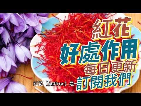 EP 175 紅花（Saffron）的好處與作用 舒緩經痛 提升心情 懷孕不宜使用