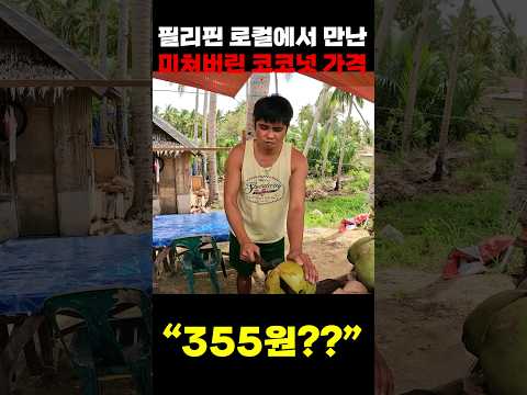 필리핀 로컬 코코넛의 충격적인 가격  #세계여행 #앙그리투어