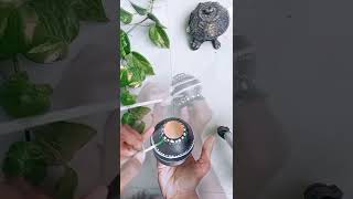 Pot painting idea #diy #shorts #shortvideo #ytshorts #short #potpainting #viralshorts #crafts #pot