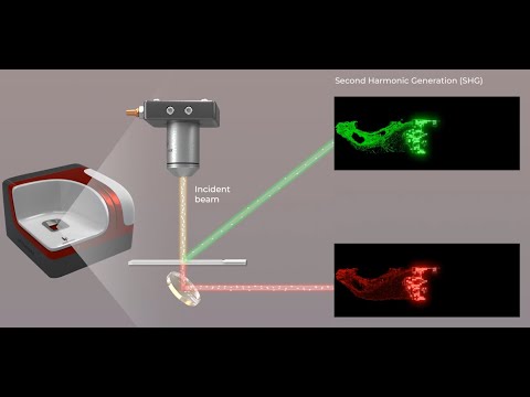 Discover How AI Transforms Pathology with SHG Imaging | 3D Animation