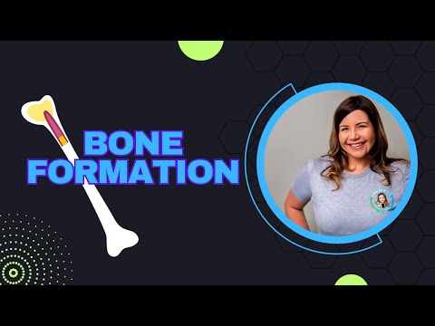 Skeletal System: Intramembranous and Endochondral Bone Formation