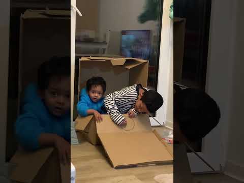 Mio Mao actions (Mio MaoLa La La La La)# viral#