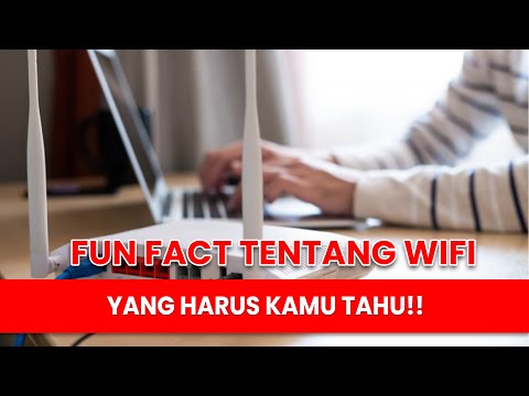 Fun Fact Tentang WiFi yang Harus Banget Kamu Tahu