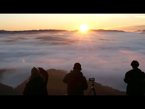 スケール満点、まち包む雲海　朝日浴び、表情刻々と　佐用・大撫山