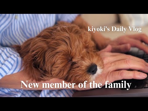 We have a new family|Herb gardening|Couple in their 60s|Lifestyle #DailyVlog #60s #Senior