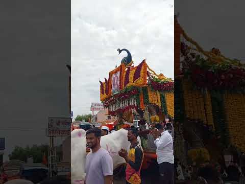 panduranga ra amhi varkari#youtubeshort#pandharpur#naineshwarmavali#marathivedio#youtubeshort#video#