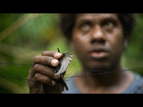 Behind the Lens: Solomon Islands