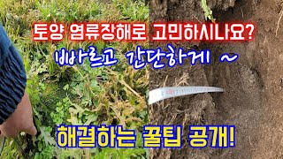 [땅을 살리자] 염류장해 피해농장, 염류장해 윈인,염류장해 해결방법