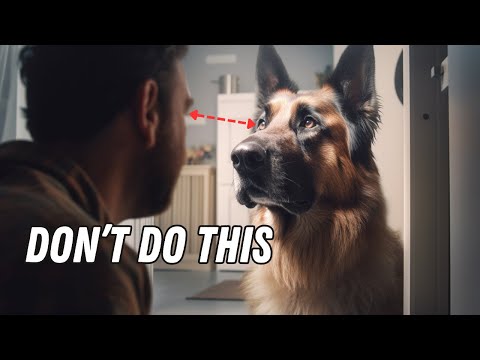 8 Things Dogs HATE (#1 Might Surprise You)