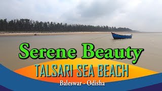 Serene Beauty of TALSARI Sea Beach | Red Crab | Bike Riding on Sea Waves