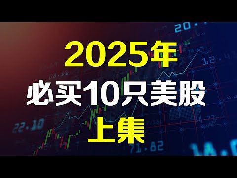 美股 2025年必买10只股【上集】不为人知的AI潜力公司 #INOD