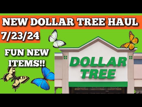 Lots of fun item in this Dollar Tree Haul 7/23/24