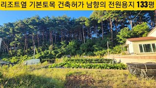 현장매물 브리핑 | 0923-둔내토지 | 해발650 소나무숲 정남향 기본토목 건축허가완료 전원용지 133평 6100만원 (청춘부동산 033 342 6640)