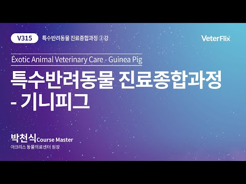 [베터플릭스][특수반려동물 진료종합과정] 기니피그(Exotic Animal Veterinary Care-Guinea Pig)